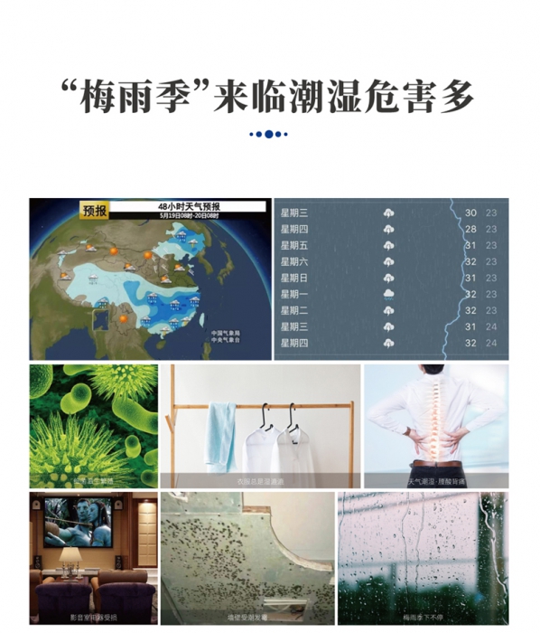 分析转轮蜜柚直播APP正版下载