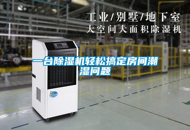 一台蜜柚直播APP正版下载轻松搞定房间潮湿问题
