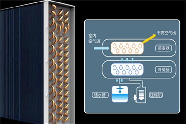 工业蜜柚直播APP正版下载要怎么维护才能延长使用寿命