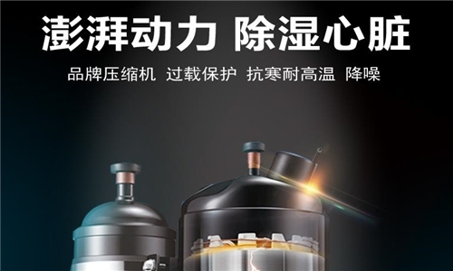 新风蜜柚直播APP正版下载系统安装的正确流程及注意事项