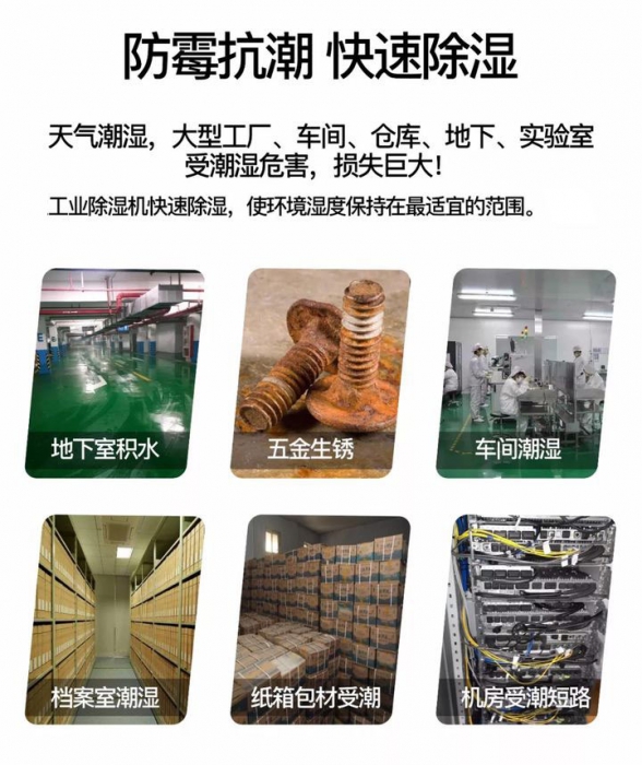 中药材干燥用耐高温蜜柚直播APP正版下载