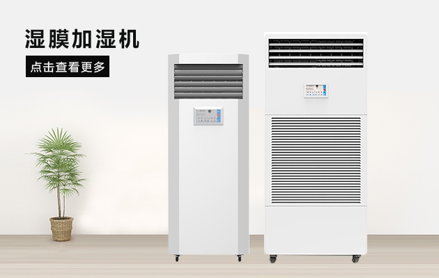 厦门蜜柚直播APP正版下载怎么选？