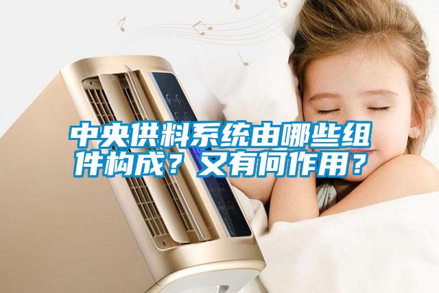 中央供料系统由哪些组件构成？又有何作用？
