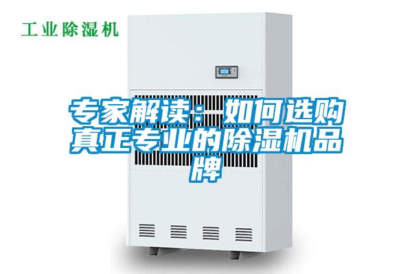 专家解读：如何选购真正专业的蜜柚直播APP正版下载品牌