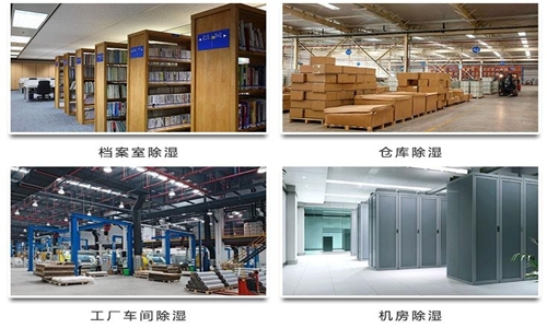 为什么竹笋烘干房需要蜜柚直播APP正版下载？