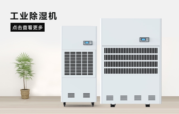 烘干芒果，芒果干更省心