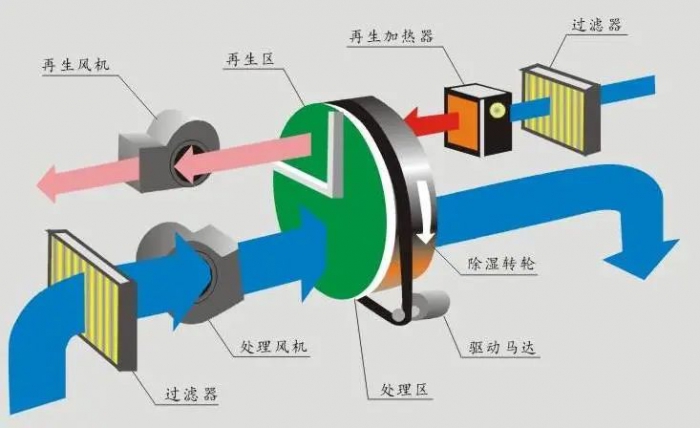 厕所潮湿久而久之会生虫还是？