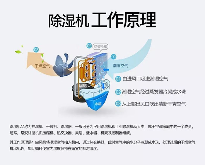 潮湿天气狗最容易患上这种毛病！三个注意事项，铲屎官一定要看看