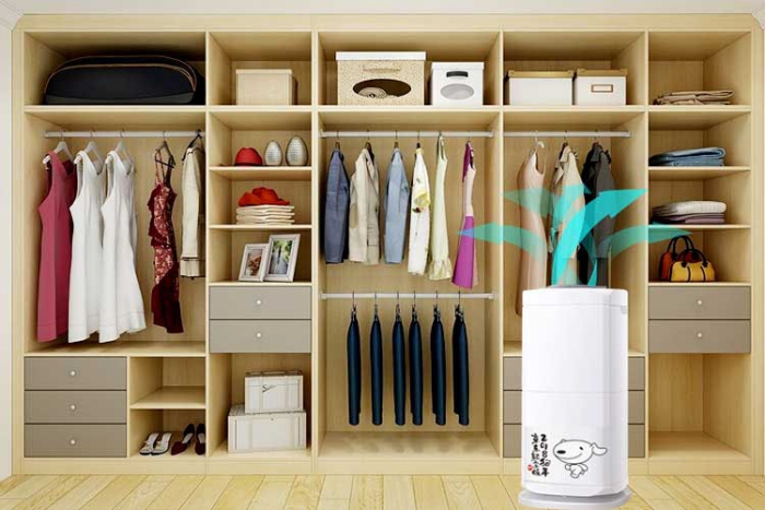 档案蜜柚直播APP正版下载给档案室带来的好处