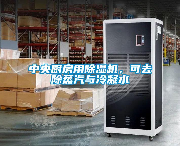 中央厨房用蜜柚直播APP正版下载，可去除蒸汽与冷凝水
