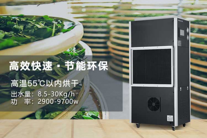 潮湿天气来袭，螨虫爆满床！