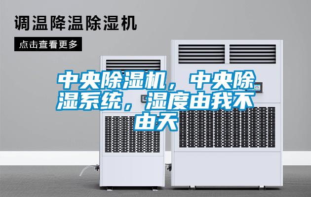 中央蜜柚直播APP正版下载，中央除湿系统，湿度由我不由天