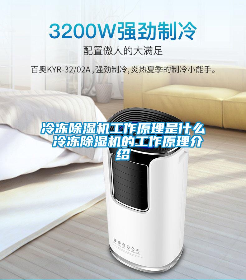 冷冻蜜柚直播APP正版下载工作原理是什么 冷冻蜜柚直播APP正版下载的工作原理介绍