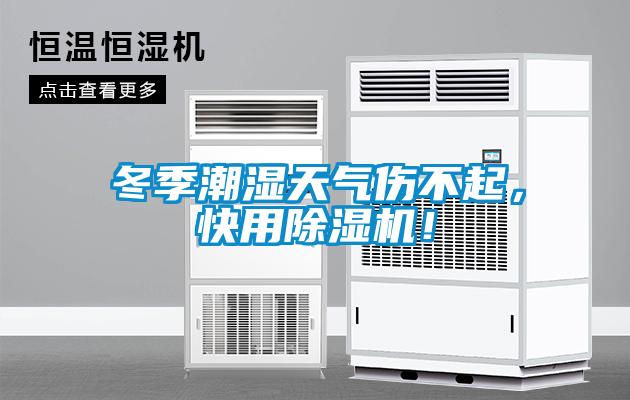 冬季潮湿天气伤不起，快用蜜柚直播APP正版下载！