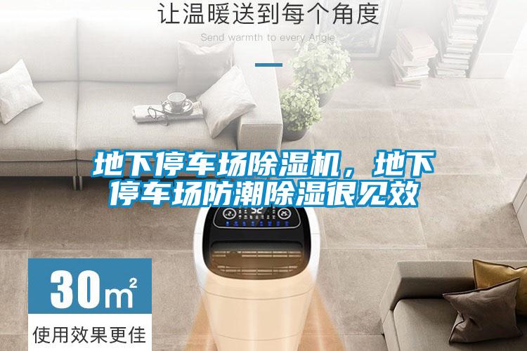 地下停车场蜜柚直播APP正版下载，地下停车场防潮除湿很见效