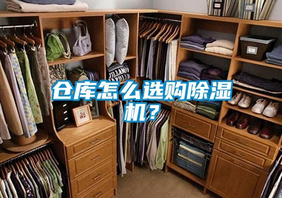仓库怎么选购蜜柚直播APP正版下载？