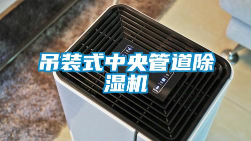 吊装式中央管道蜜柚直播APP正版下载