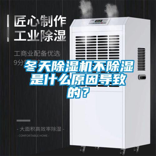 冬天蜜柚直播APP正版下载不除湿是什么原因导致的？