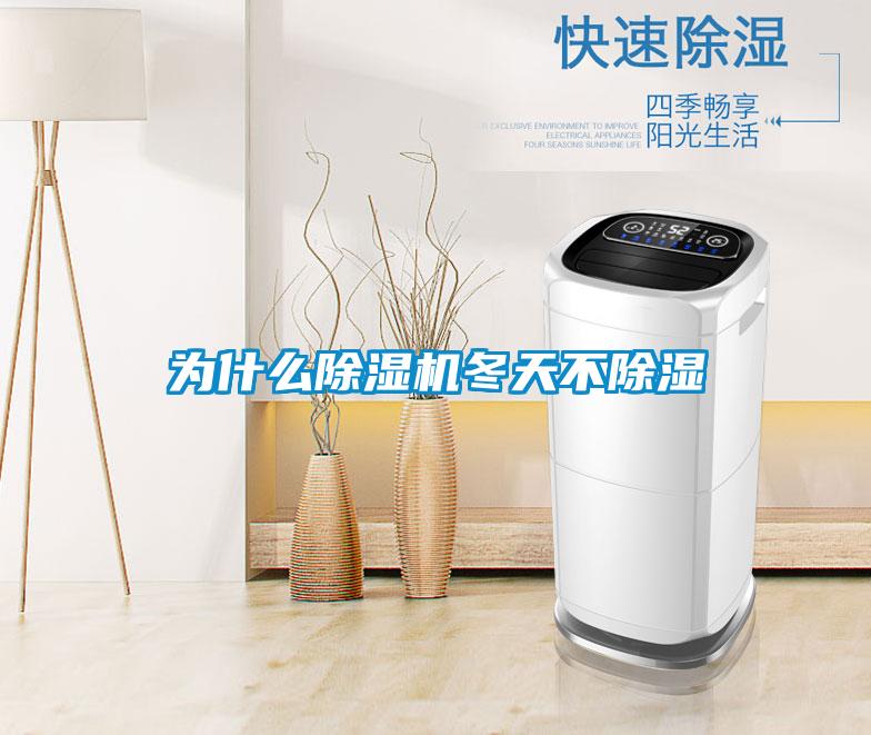 为什么蜜柚直播APP正版下载冬天不除湿