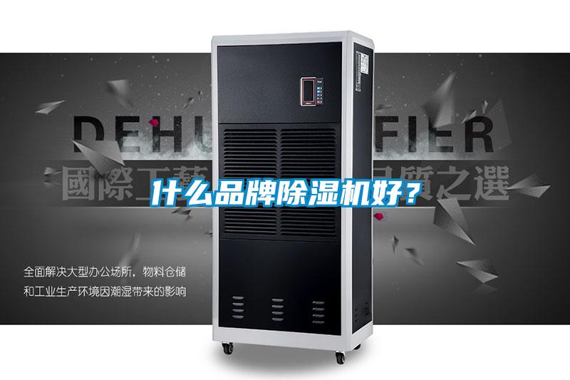 什么品牌蜜柚直播APP正版下载好？