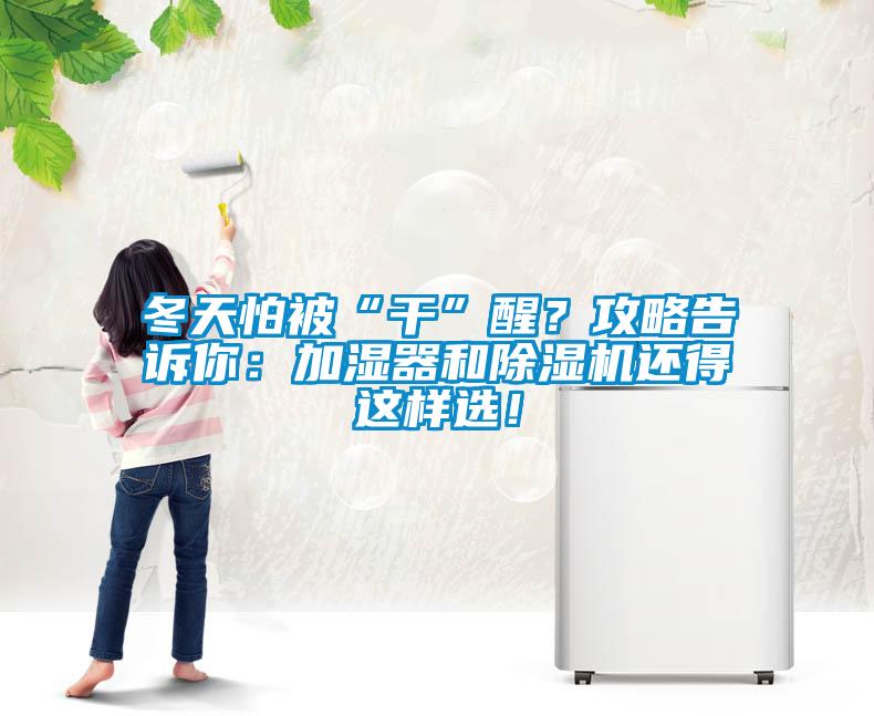 冬天怕被“干”醒？攻略告诉你：加湿器和蜜柚直播APP正版下载还得这样选！