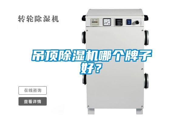 吊顶蜜柚直播APP正版下载哪个牌子好？