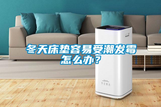 冬天床垫容易受潮发霉怎么办？