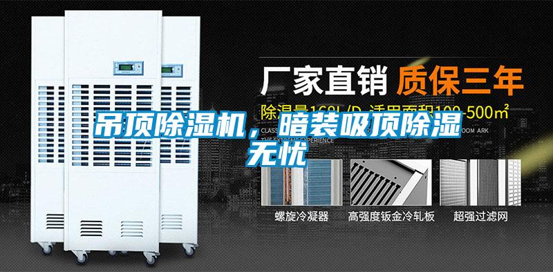 吊顶蜜柚直播APP正版下载，暗装吸顶除湿无忧