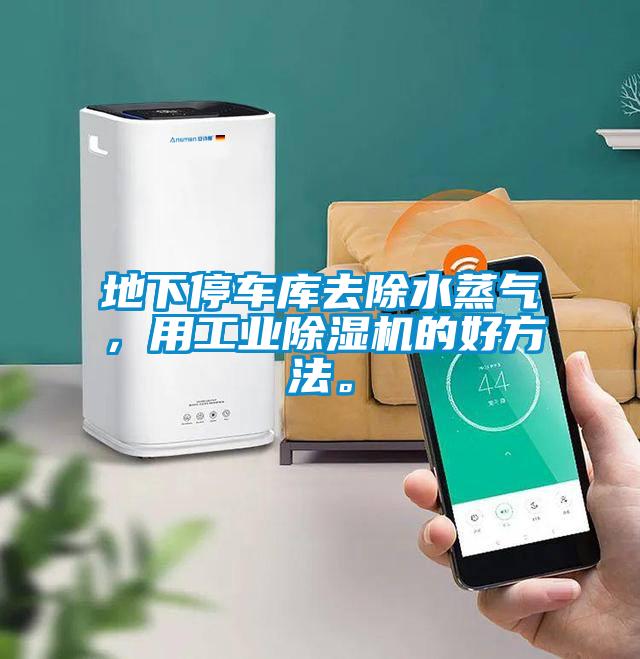 地下停车库去除水蒸气，用工业蜜柚直播APP正版下载的好方法。