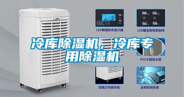 冷库蜜柚直播APP正版下载，冷库专用蜜柚直播APP正版下载