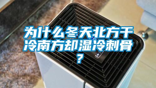 为什么冬天北方干冷南方却湿冷刺骨？