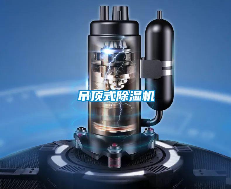 吊顶式蜜柚直播APP正版下载