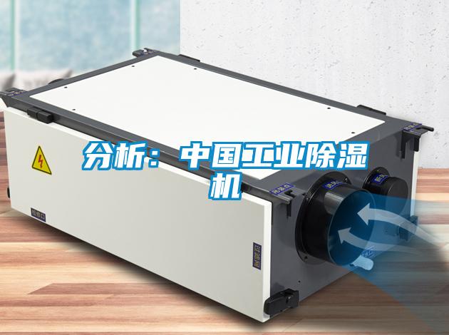 分析：中国工业蜜柚直播APP正版下载