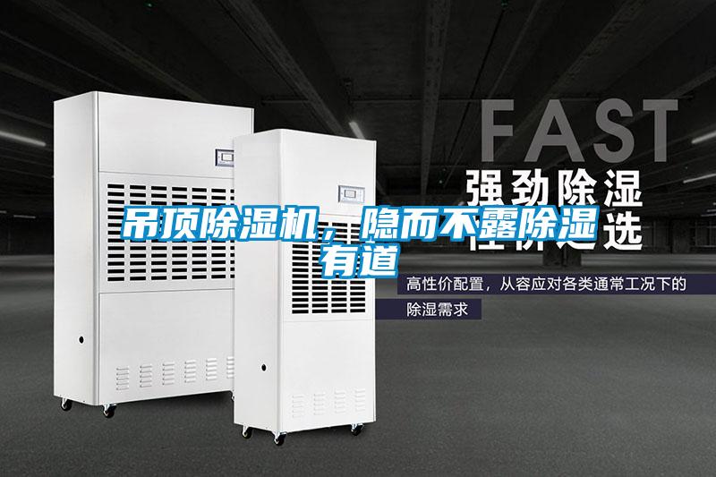 吊顶蜜柚直播APP正版下载，隐而不露除湿有道