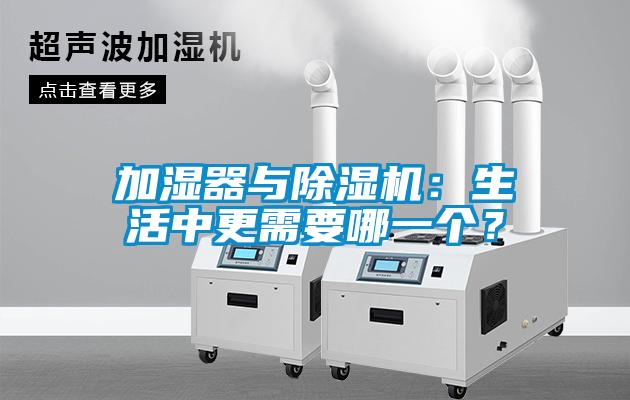 加湿器与蜜柚直播APP正版下载：生活中更需要哪一个？