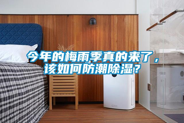 今年的梅雨季真的来了，该如何防潮除湿？