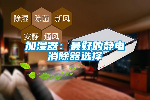 加湿器：最好的静电消除器选择