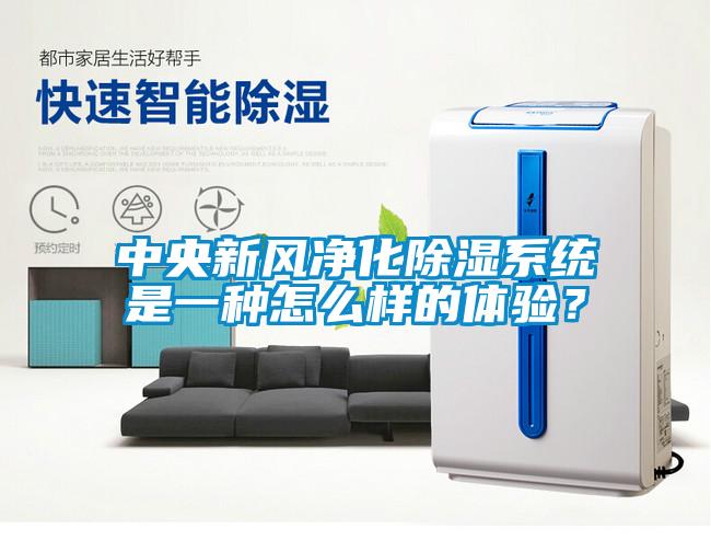 中央新风净化除湿系统是一种怎么样的体验？
