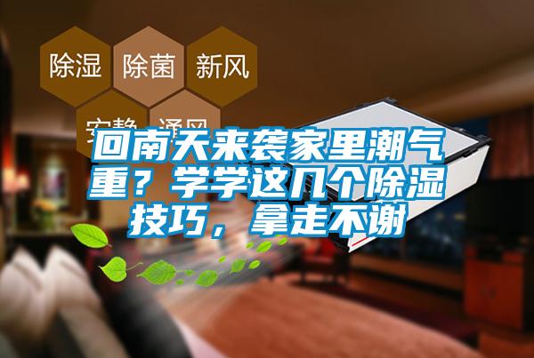 回南天来袭家里潮气重？学学这几个除湿技巧，拿走不谢