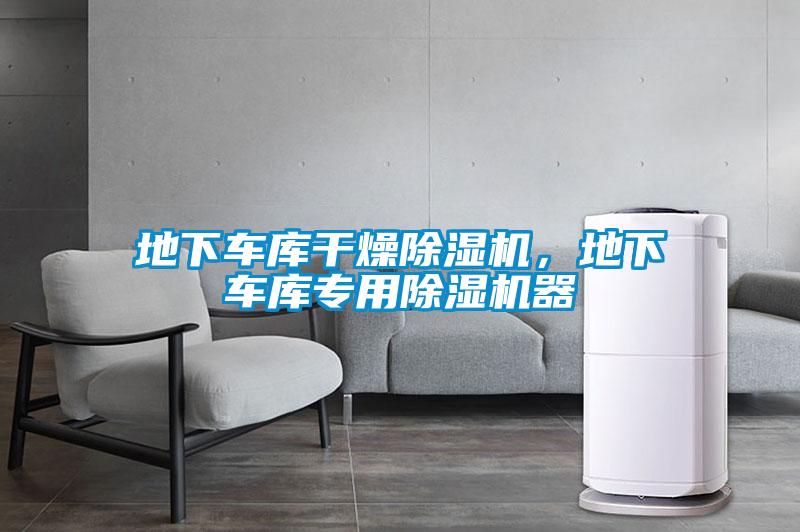 地下车库干燥蜜柚直播APP正版下载，地下车库专用蜜柚直播APP正版下载器