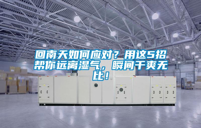 回南天如何应对？用这5招帮你远离湿气，瞬间干爽无比！