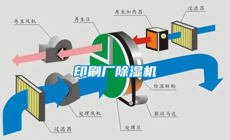 印刷厂蜜柚直播APP正版下载