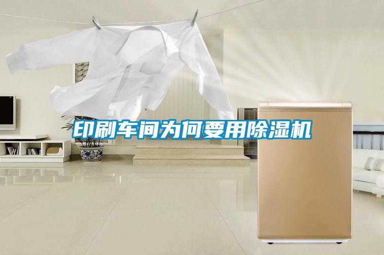 印刷车间为何要用蜜柚直播APP正版下载