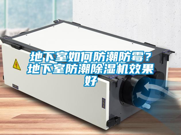 地下室如何防潮防霉？地下室防潮蜜柚直播APP正版下载效果好