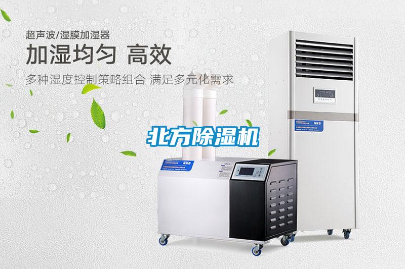 北方蜜柚直播APP正版下载