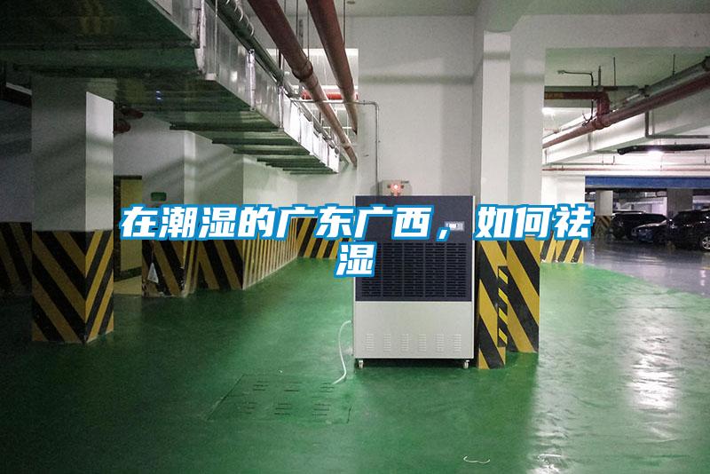 在潮湿的广东广西，如何祛湿