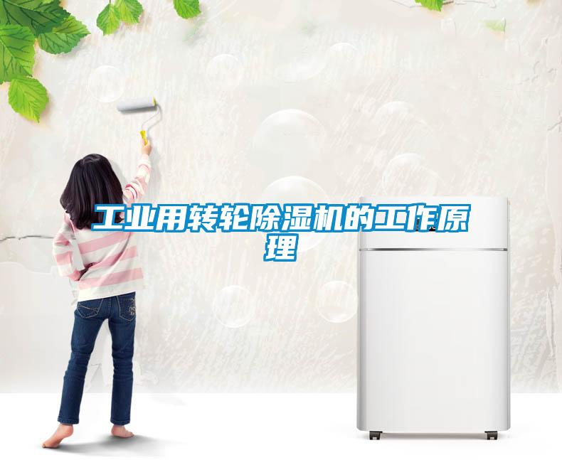 工业用转轮蜜柚直播APP正版下载的工作原理