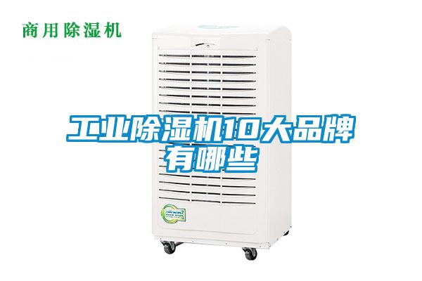 工业蜜柚直播APP正版下载10大品牌有哪些