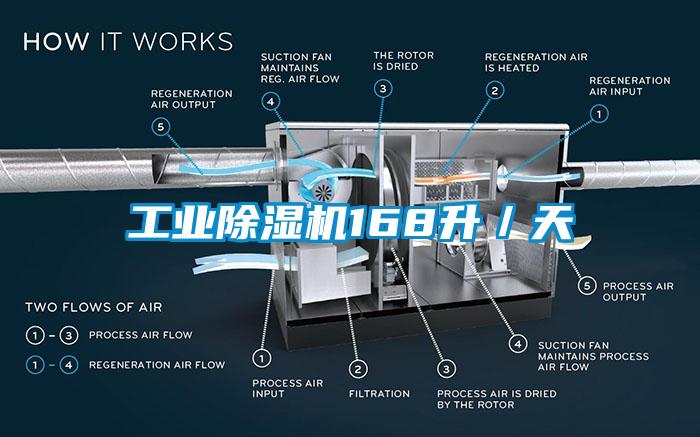 工业蜜柚直播APP正版下载168升／天