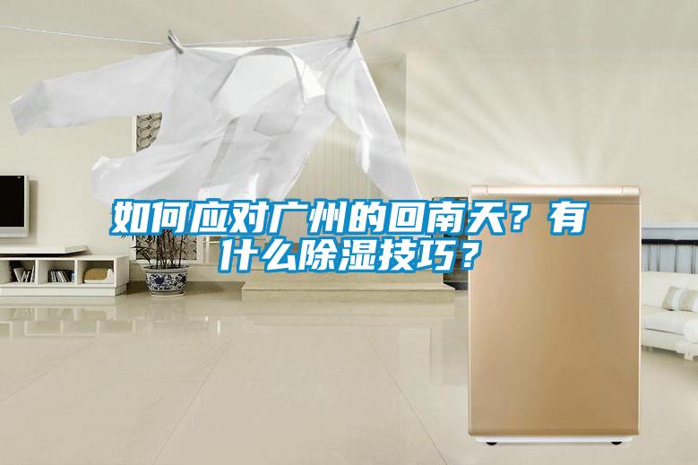 如何应对广州的回南天？有什么除湿技巧？